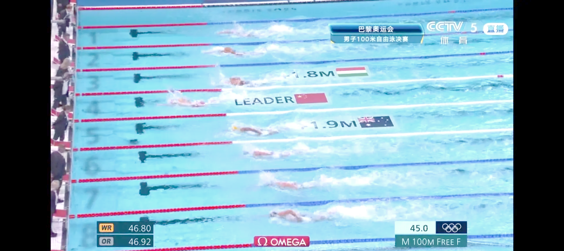 游泳接力赛夺金，中国选手破纪录成功！