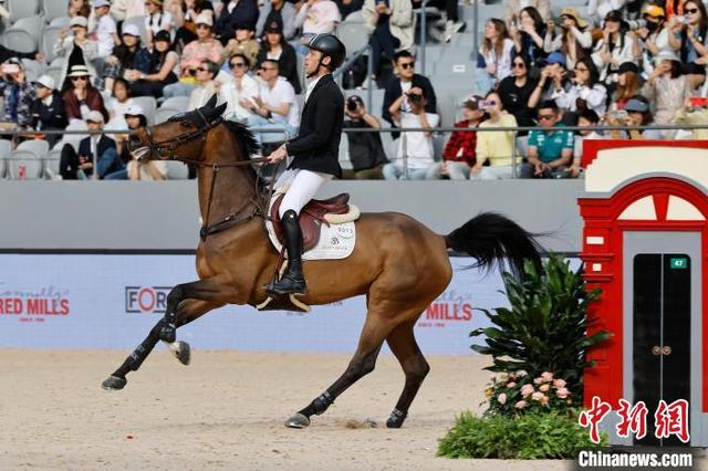 摩洛哥马术选手夺冠，英姿飒爽登顶