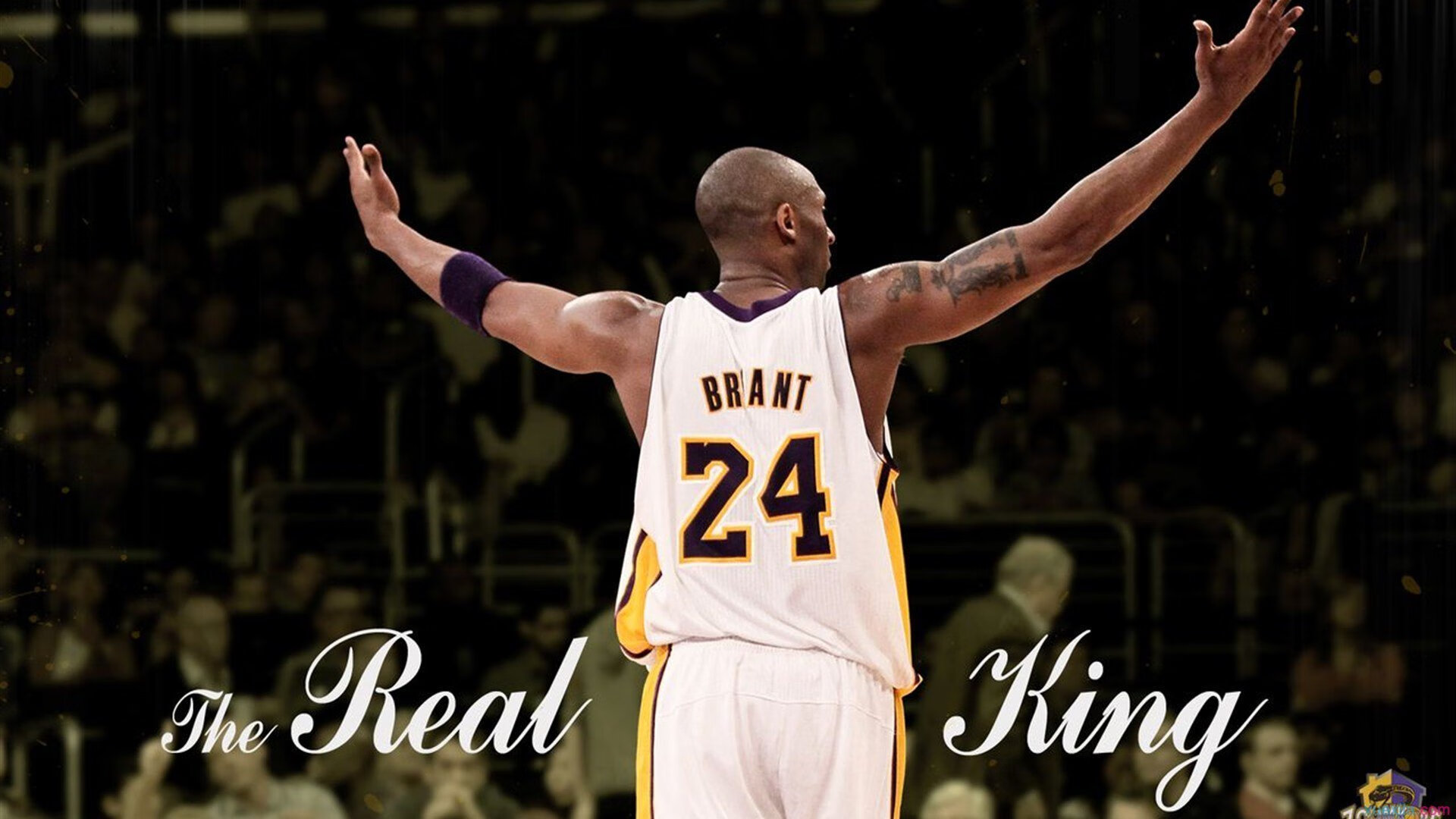 兹维列夫联合杯逆境制胜，用怒吼为澳网注入一剂强心针