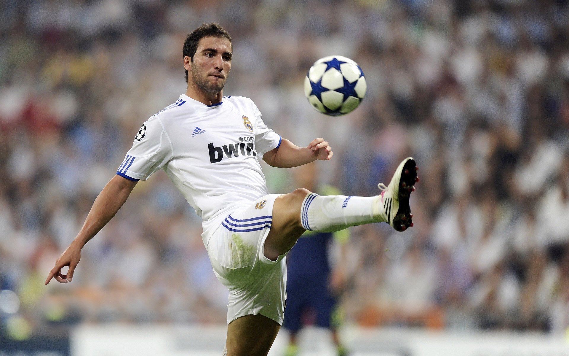 温网险胜拉沃尔杯,穆雷的决赛是向一个时代挥拍